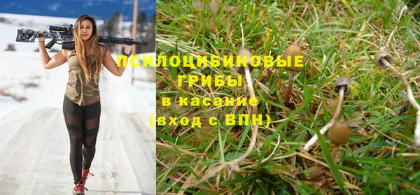 эйфоретик Инсар