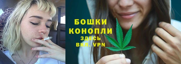 крисы Инта