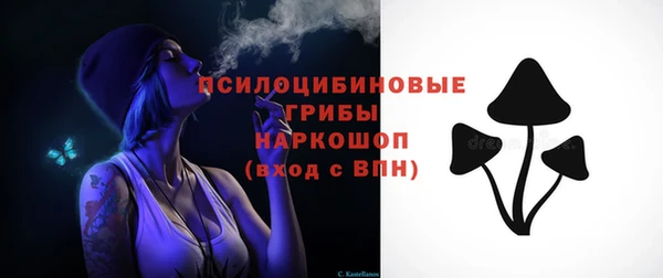 крисы Инта