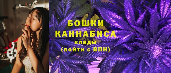 крисы Инта