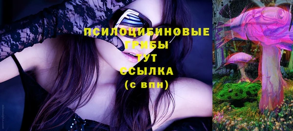 крисы Инта
