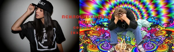 эйфоретик Инсар