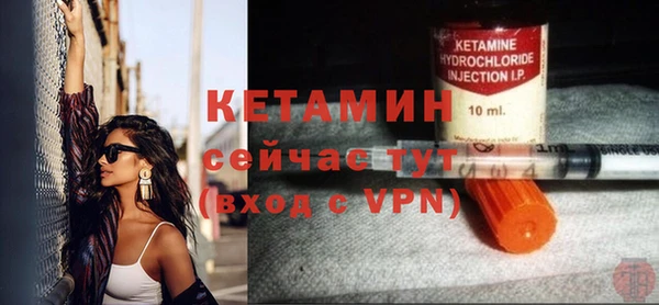 крисы Инта
