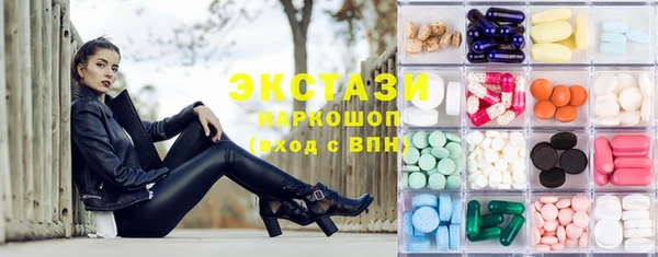 крисы Инта