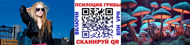 Псилоцибиновые грибы Psilocybine cubensis  цены наркотик  мега   Йошкар-Ола 