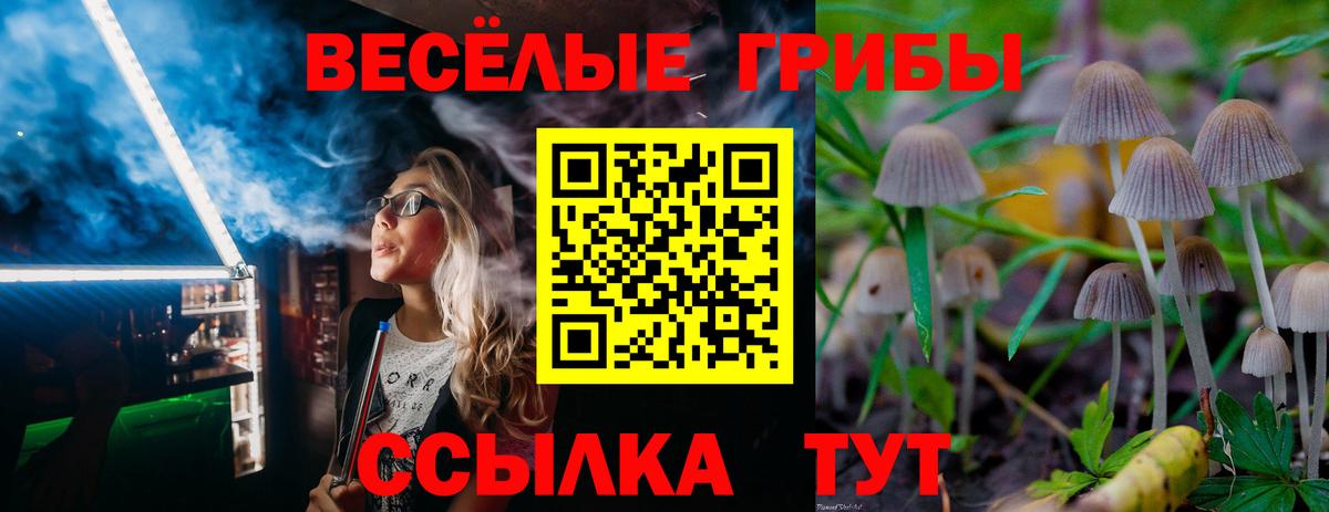 Галлюциногенные грибы прущие грибы  Вход с VPN  Йошкар-Ола 